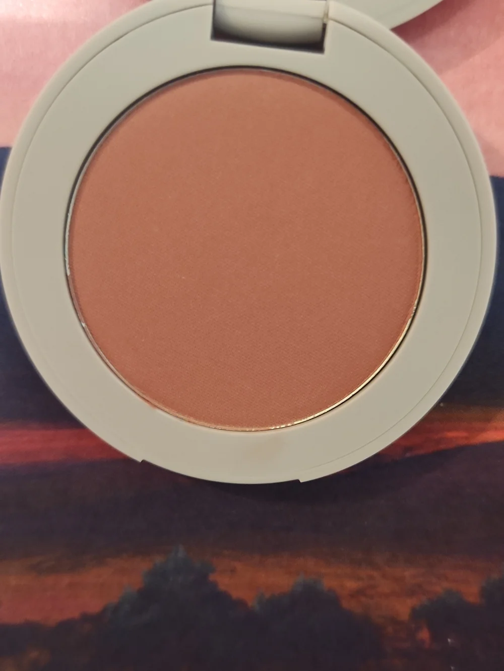 Vapour Beauty Blush Powder in Obsess Warm Rose